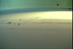 Ian Burns sculpture. Colony Cam. 2005